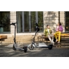 Segway KickScooter E2 Plus E II | Up to 25 km/h | 8.1 "