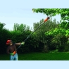 Black & Decker | Brushcutter | PS7525 | 800 W | 210-240 V