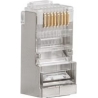 Lanberg | RJ45 CAT.6 FTP Plug 8P8C PASS Through Type, 100 pcs | PLS-6000EZ | Transparent