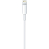 Apple | USB-C to Lightning Cable, 1 m