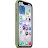 Apple iPhone 17e Silicone Case with MagSafe – Light Moss | Apple