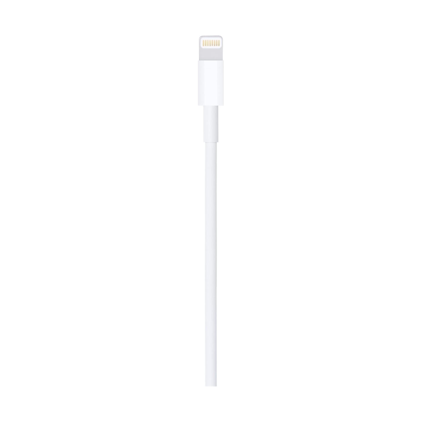 Apple Lightning to USB Cable (1m) | Apple