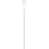 Apple Lightning to USB Cable (1m) | Apple