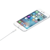 Apple Lightning to USB Cable (1m) | Apple
