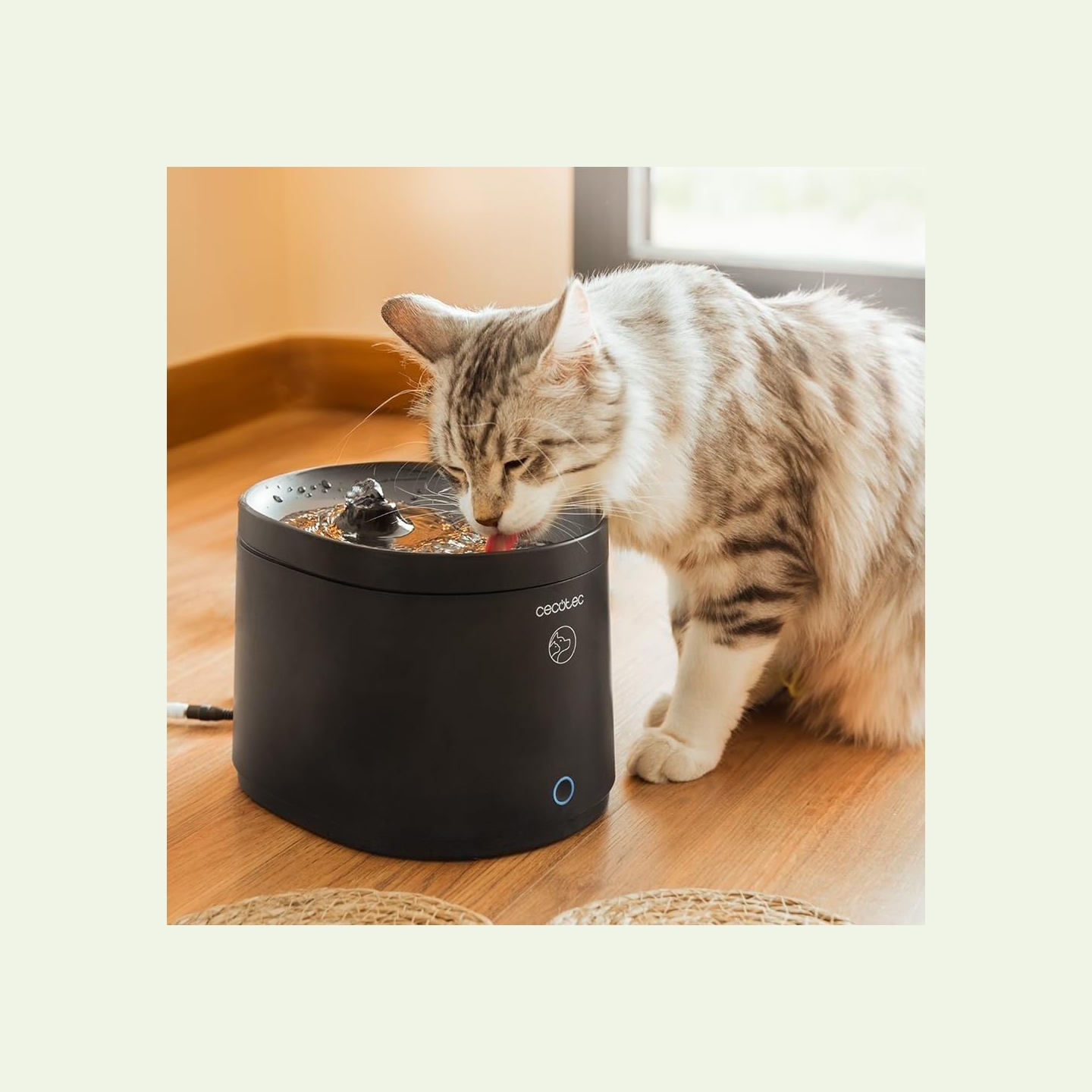 Cecotec Smart Pet Fountain | Pumba 2500 Refresh | Capacity 2.5 L | Black