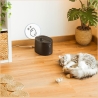 Cecotec Smart Pet Fountain | Pumba 2500 Refresh | Capacity 2.5 L | Black