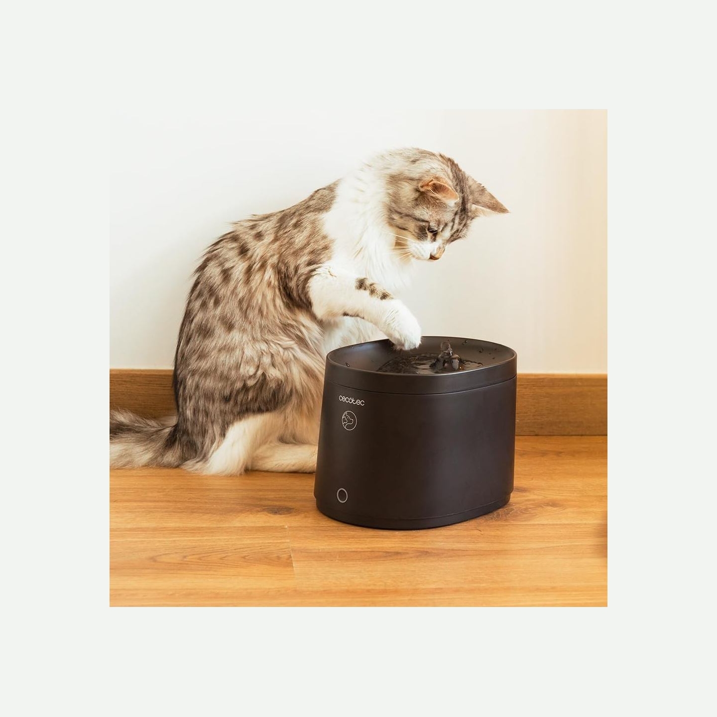 Cecotec Smart Pet Fountain | Pumba 2500 Refresh | Capacity 2.5 L | Black