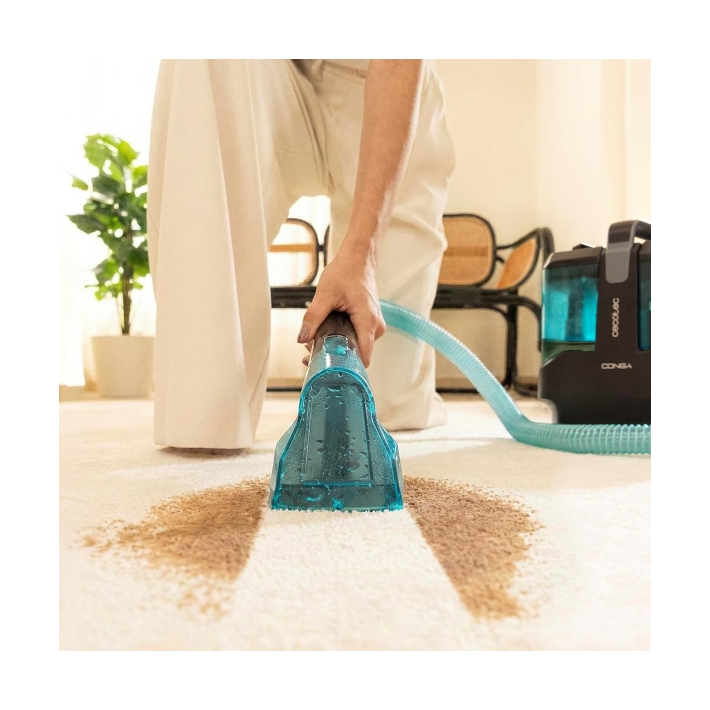 Cecotec Upholstery Cleaner | Conga 3000 Carpet&Spot Clean Max | 450 W