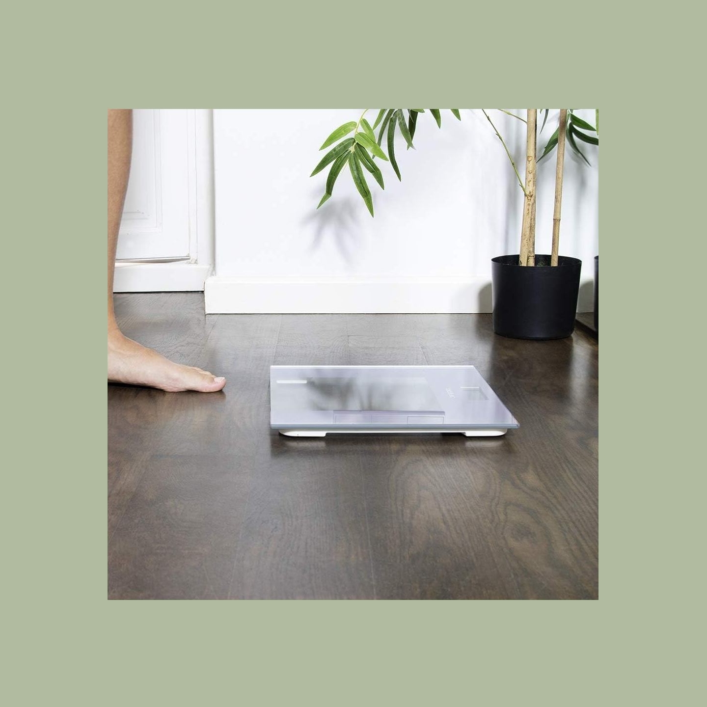 Cecotec Bathroom Scales | Surface Precision Healthy | Maximum weight (capacity) 180 | Grey/Transparent