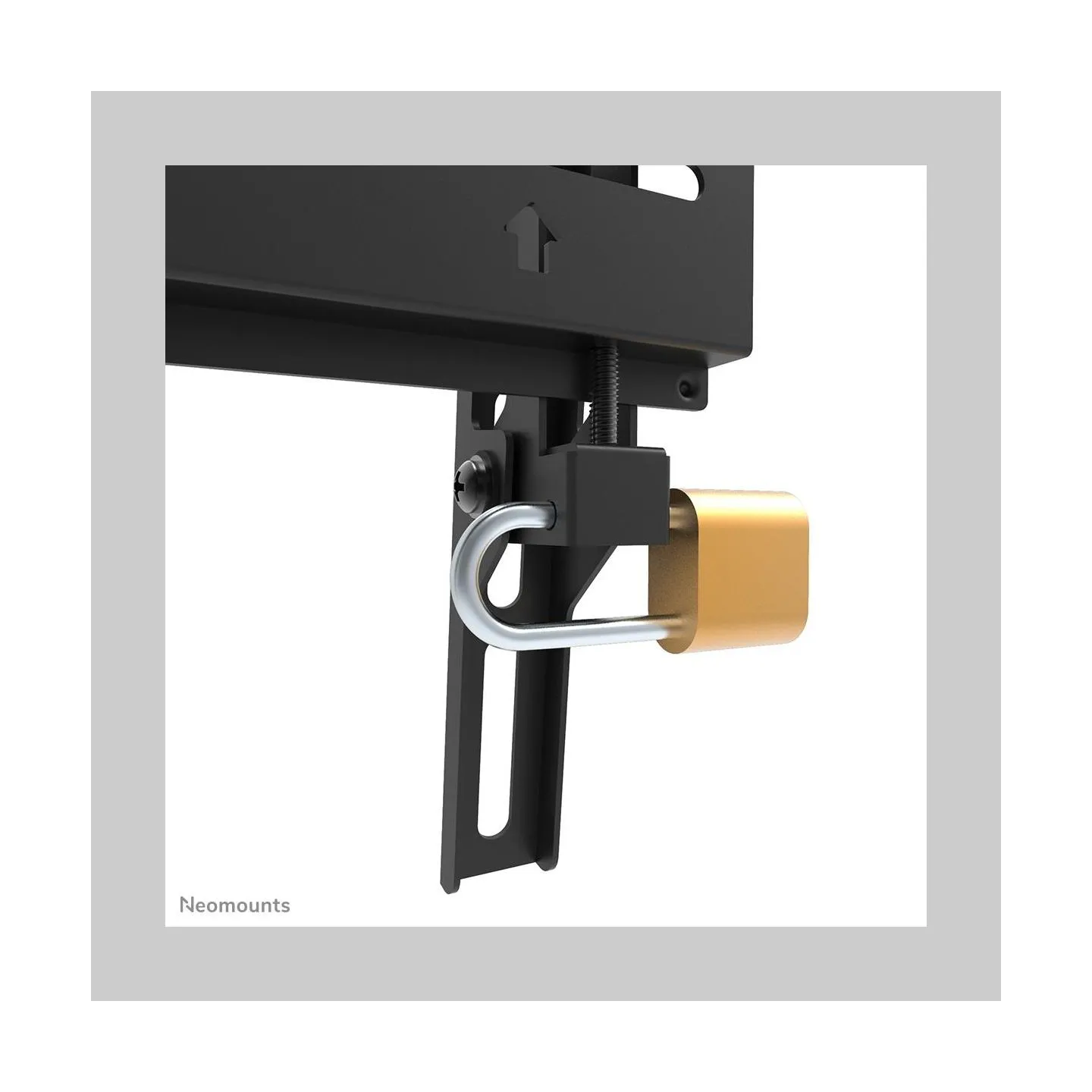 Neomounts TV SET ACC WALL MOUNT/WL30-350BL12 NEOMOUNTS