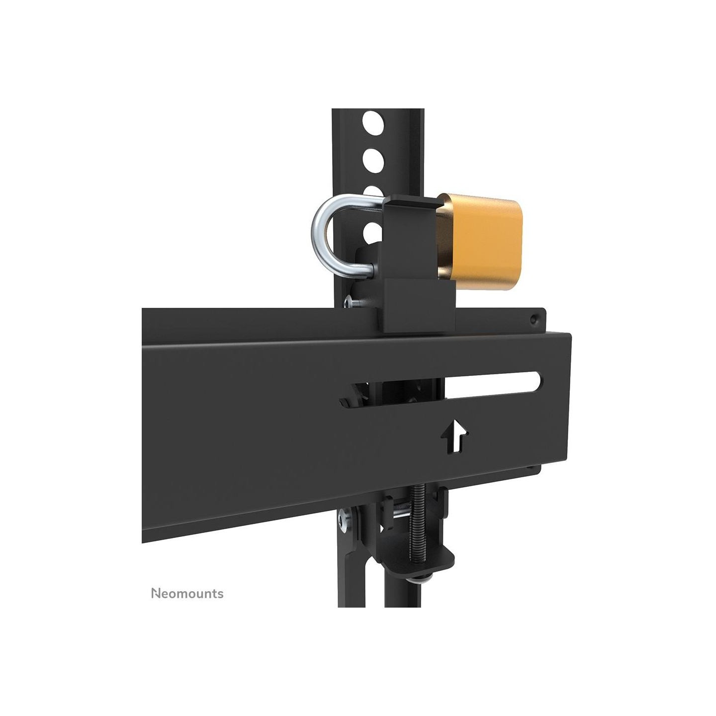 Neomounts TV wall mount 24-55 inches WL35-350BL12