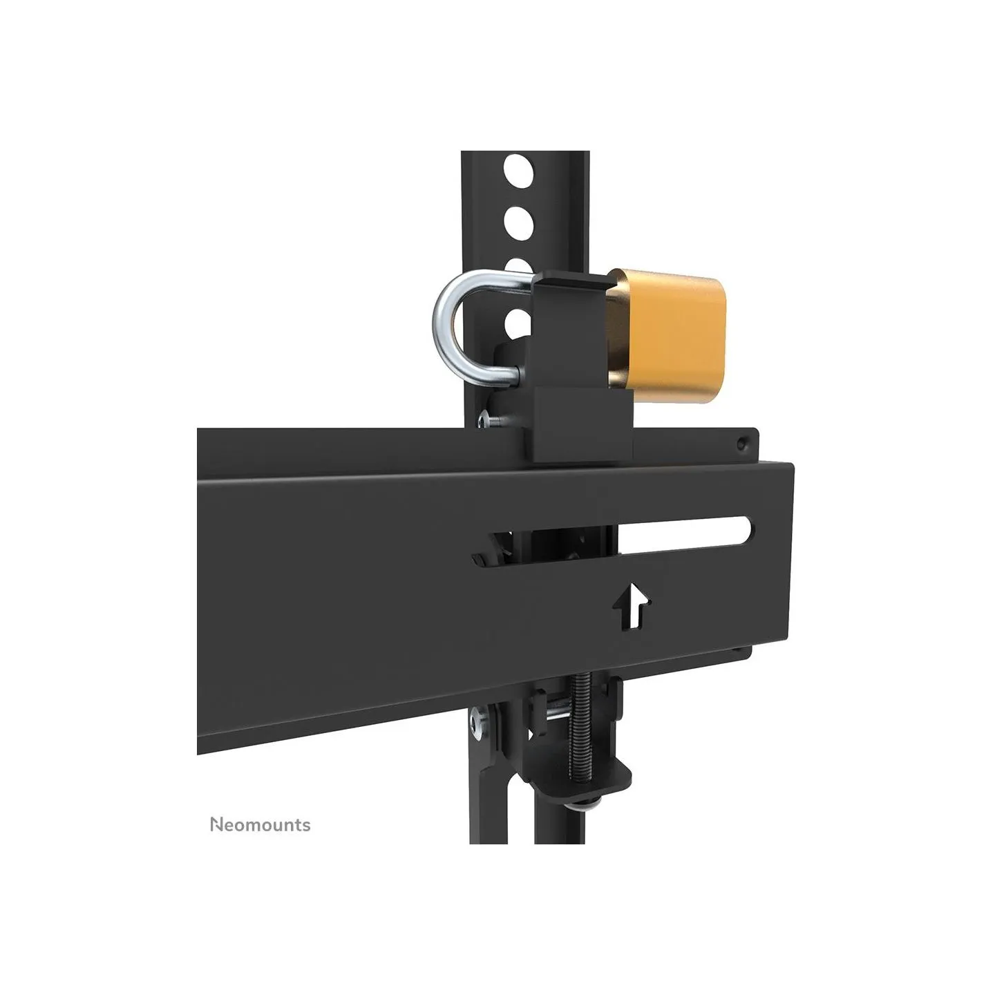 Neomounts TV wall mount 24-55 inches WL35-350BL12