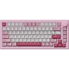 Akko KEYBOARD WRL 5075 V3/013-003-007-010-004 AKKO