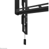 Neomounts WL30-550BL14 40-75 inch Screen Wall Mount 100x100-400x400