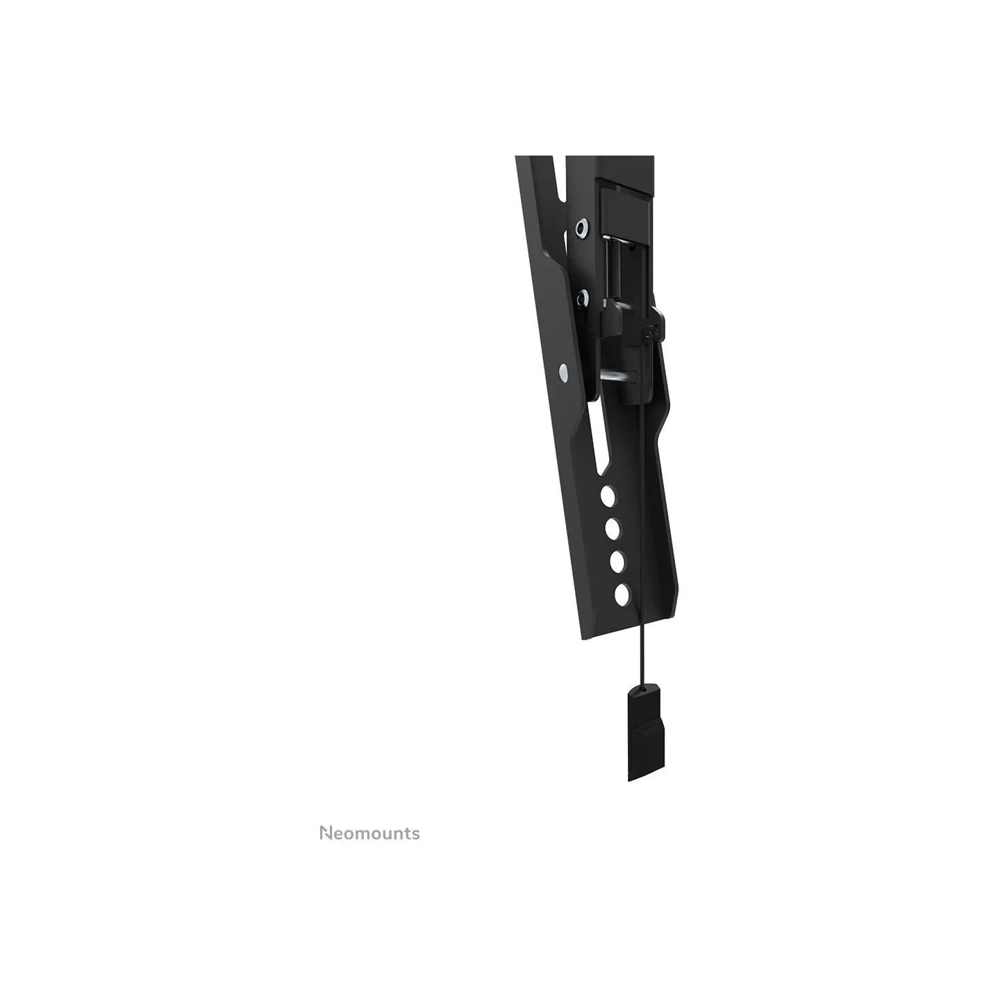 Neomounts BY NEWSTAR SCREEN WALL MOUNT (TILT, VESA 400X400)