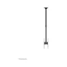 Neomounts BY NEWSTAR BACK TO BACK SCREEN CEILING MOUNT (HEIGHT: 106-156 CM)