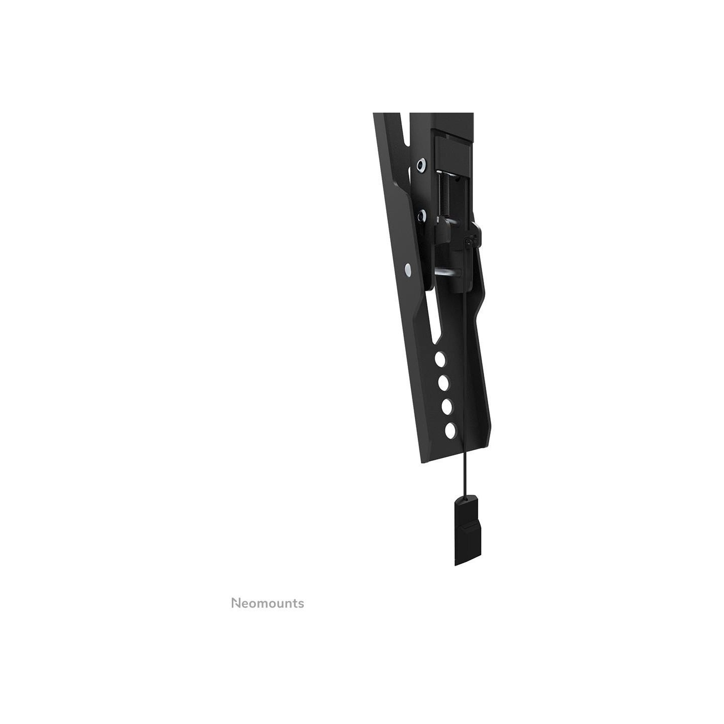 Neomounts BY NEWSTAR SCREEN WALL MOUNT (TILT, VESA 600X400)