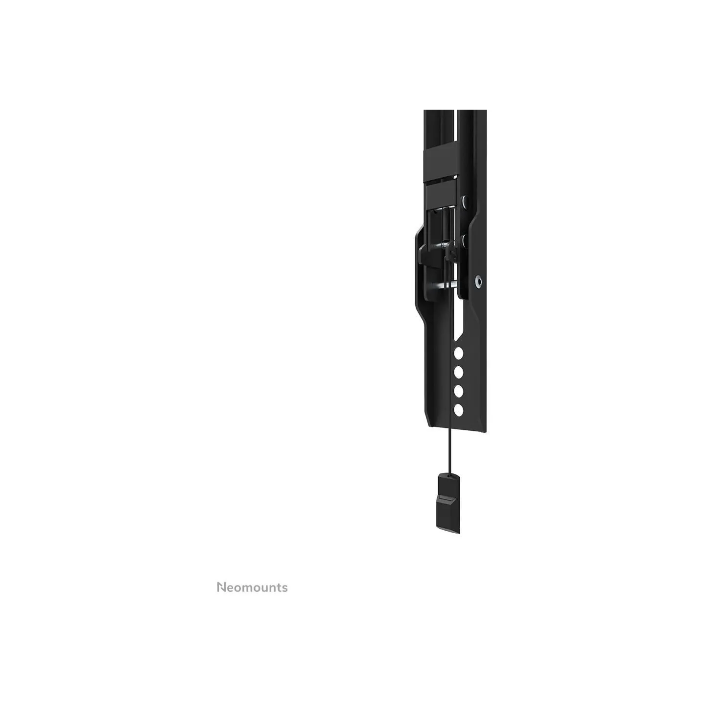 Neomounts BY NEWSTAR SCREEN WALL MOUNT (TILT, VESA 600X400)