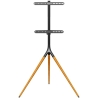 Onkron TV SET ACC FLOOR STAND /32-65"/BLACK TS1220-B ONKRON