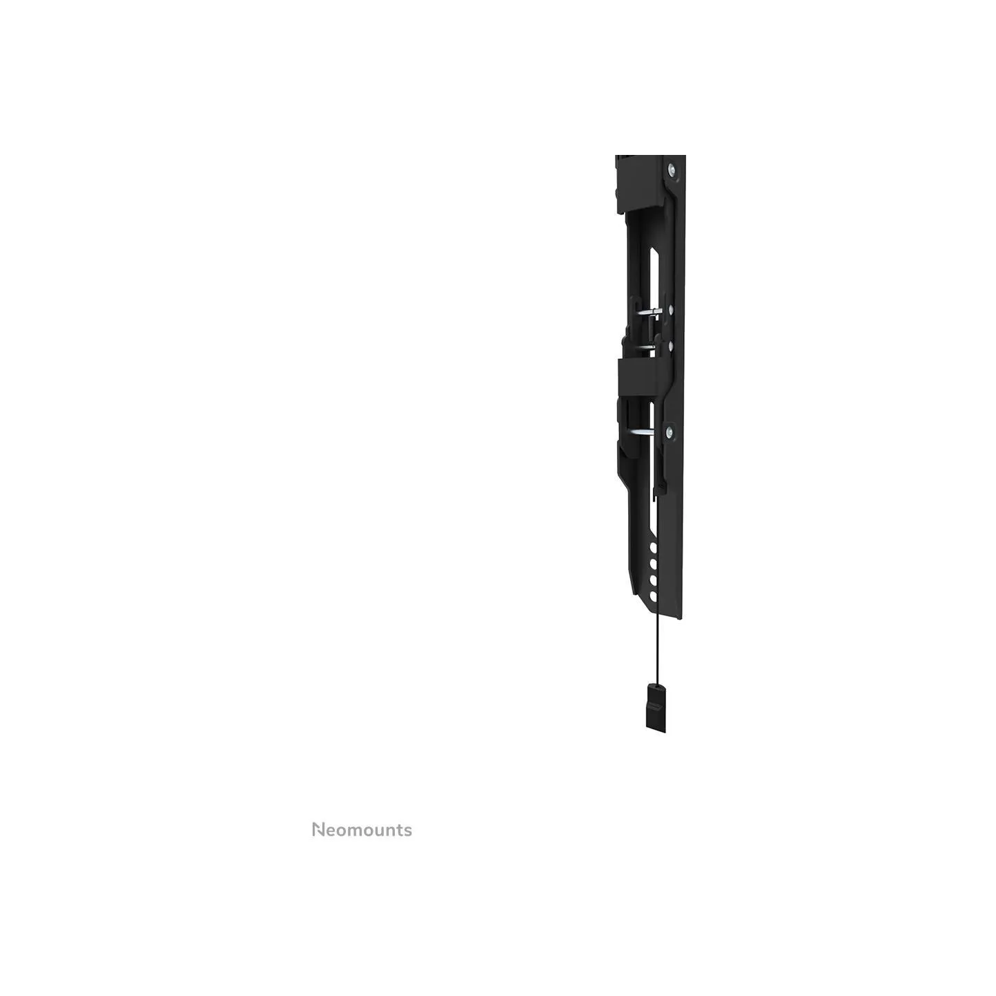 Neomounts Wall mount | WL30S-850BL14 TV mount | Micro adjustment | 32-75 " | Maximum weight (capacity) 50 kg | Black