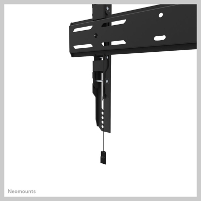 Neomounts Wall mount | WL30S-850BL14 TV mount | Micro adjustment | 32-75 " | Maximum weight (capacity) 50 kg | Black