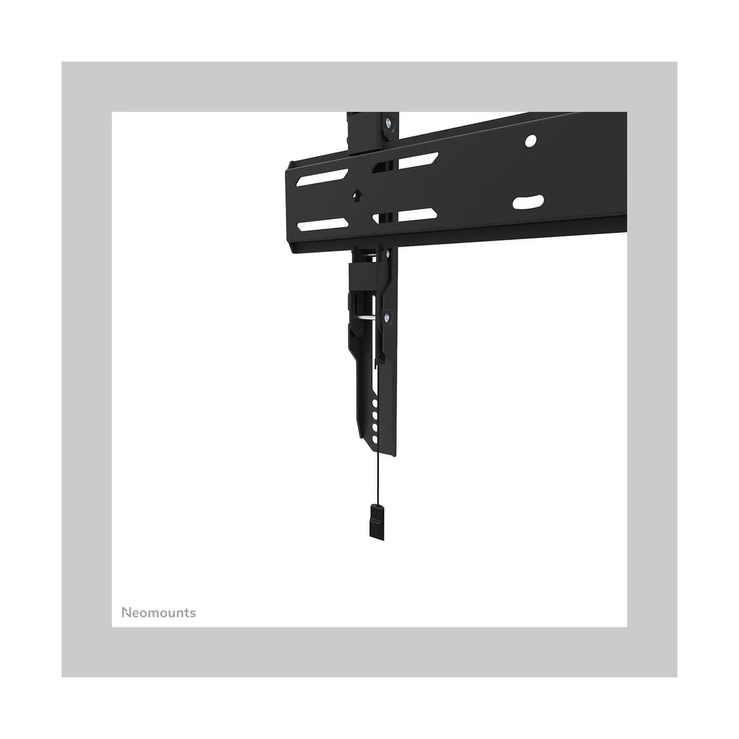 Neomounts Wall mount | WL30S-850BL14 TV mount | Micro adjustment | 32-75 " | Maximum weight (capacity) 50 kg | Black