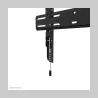 Neomounts Wall mount | WL30S-850BL14 TV mount | Micro adjustment | 32-75 " | Maximum weight (capacity) 50 kg | Black