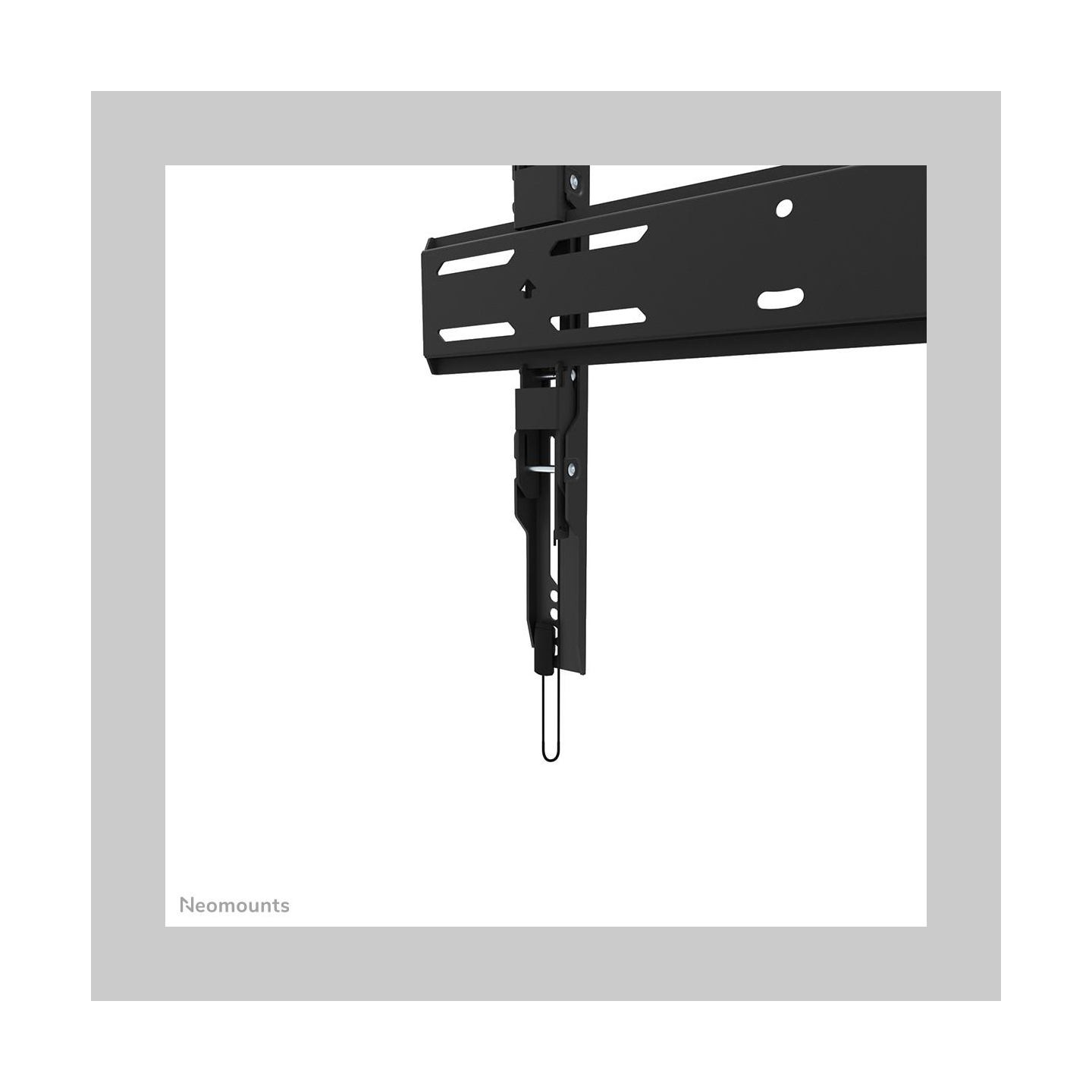 Neomounts Wall mount | WL30S-850BL14 TV mount | Micro adjustment | 32-75 " | Maximum weight (capacity) 50 kg | Black