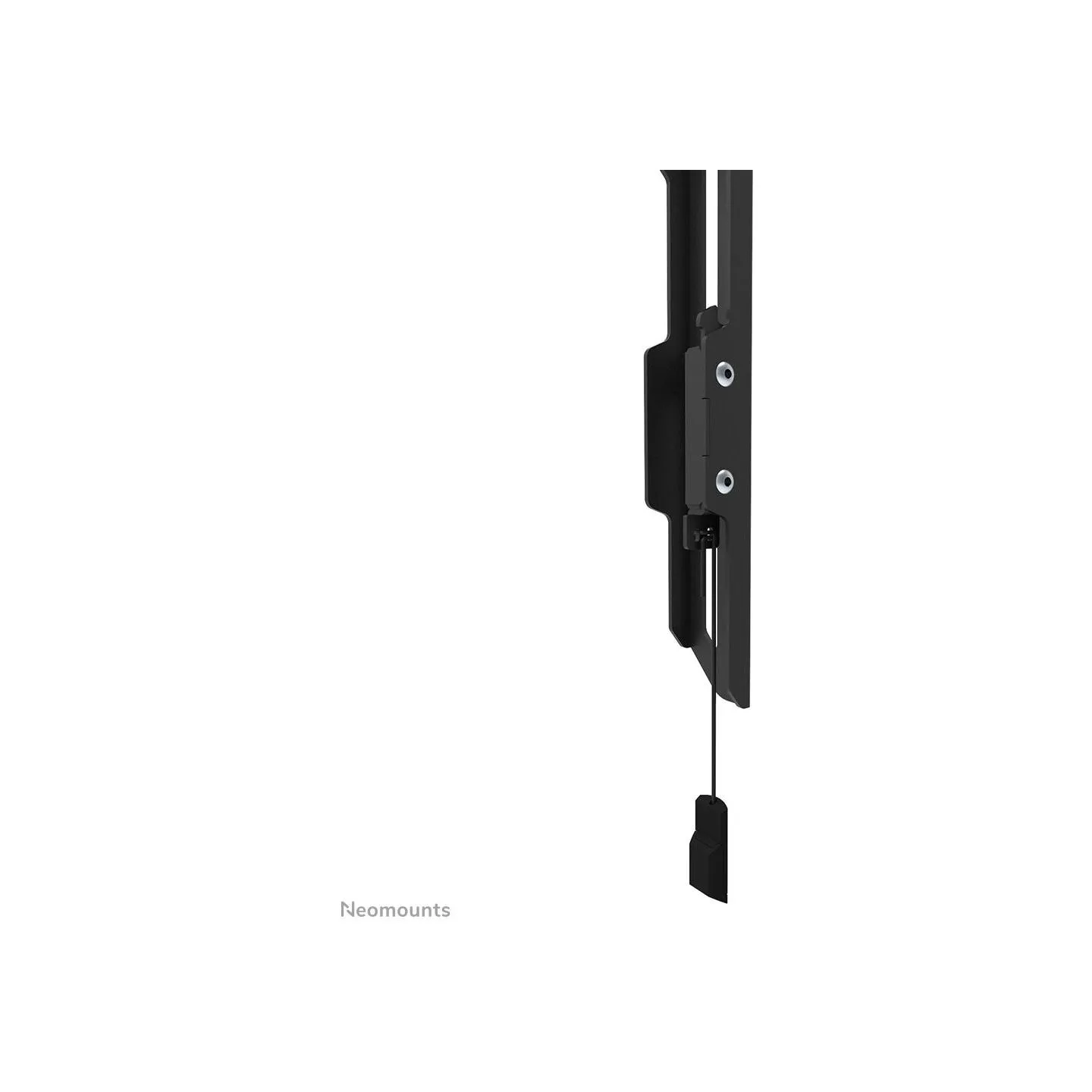 Neomounts BY NEWSTAR SCREEN WALL MOUNT (FIXED, ULTRA THIN, VESA 800X400)