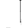 Neomounts NEWSTAR FLAT SCREEN CEILING MOUNT (HEIGHT: 106-156 CM) 32-75” BLACK