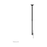 Neomounts NEWSTAR FLAT SCREEN CEILING MOUNT (HEIGHT: 106-156 CM) 32-75” BLACK