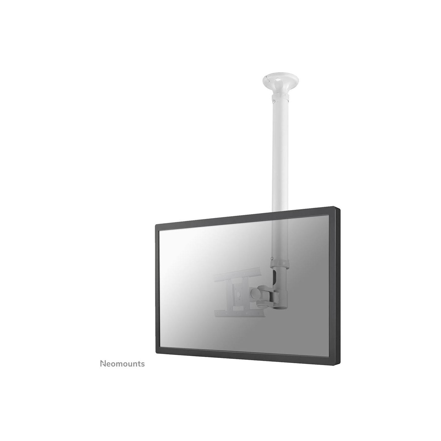 Neomounts TV SET ACC CEILING MOUNT 10-26/FPMA-C100WHITE NEOMOUNTS