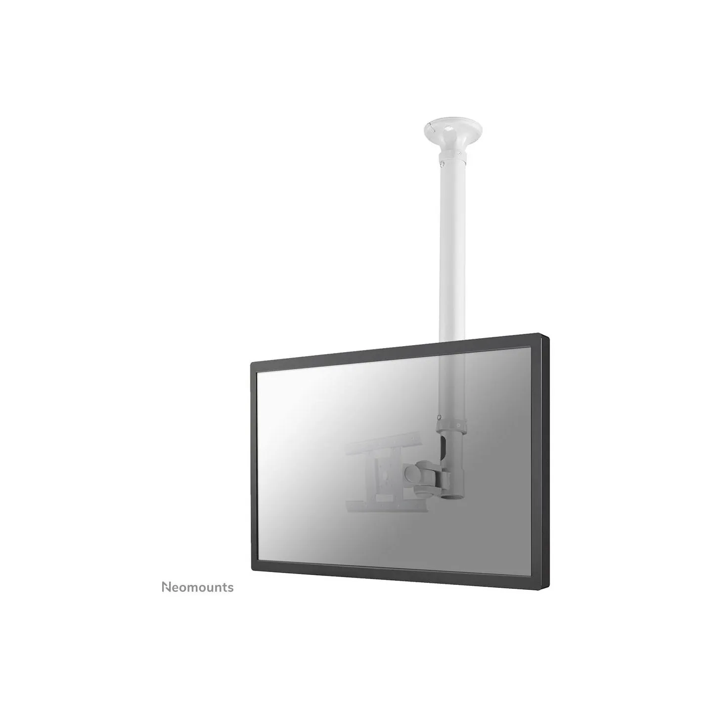 Neomounts TV SET ACC CEILING MOUNT 10-26/FPMA-C100WHITE NEOMOUNTS