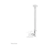 Neomounts TV SET ACC CEILING MOUNT 10-26/FPMA-C100WHITE NEOMOUNTS