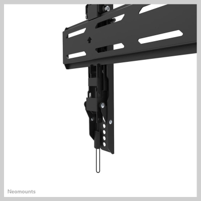 Neomounts SELECT SCREEN WALL MOUNT (TILT, VESA 800X400)