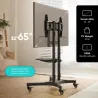 Onkron Mobile TV Stand Rolling TV Cart for 40 to 65 Inch LCD LED TV Screens, Black