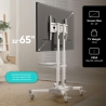 Onkron TV SET ACC MOBILE STAND/32-65"/WHITE TS1351-W ONKRON