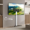 Onkron TV SET ACC FLOOR STAND /26-65"/WHITE TS1140-W ONKRON