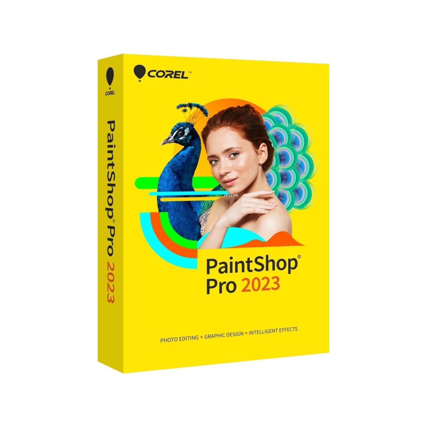 Corel PaintShop Pro 2023 Corporate Edition License Single User Corel