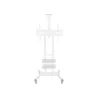 Onkron TV SET ACC MOBILE STAND/50-86"/WHITE TS1881-W ONKRON