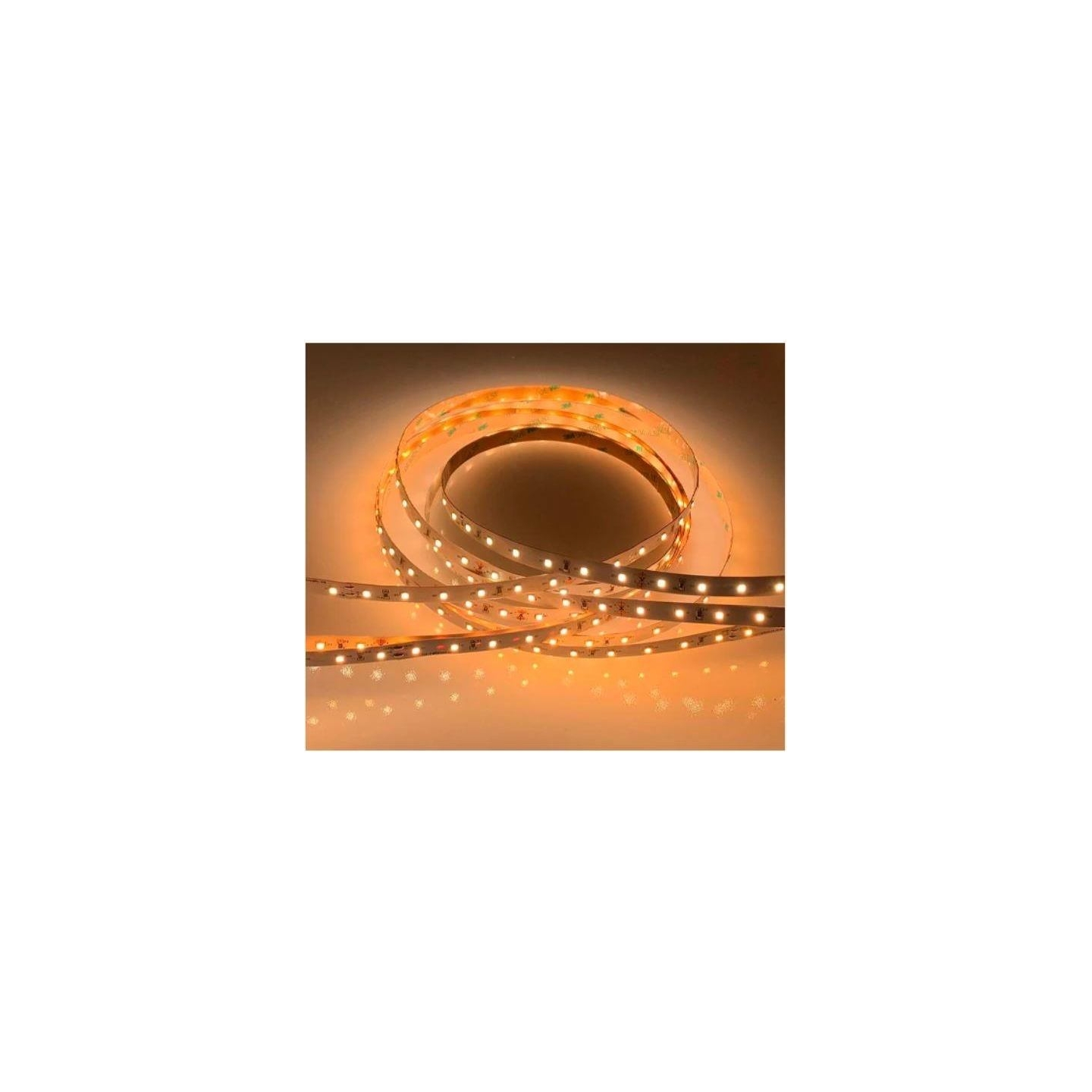 Visional Lamp|VISIONAL|AMT-2835WW120-12V|AMT-2835WW120-12V