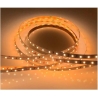 Visional Lamp|VISIONAL|AMT-2835NW120-12V|AMT-2835NW120-12V