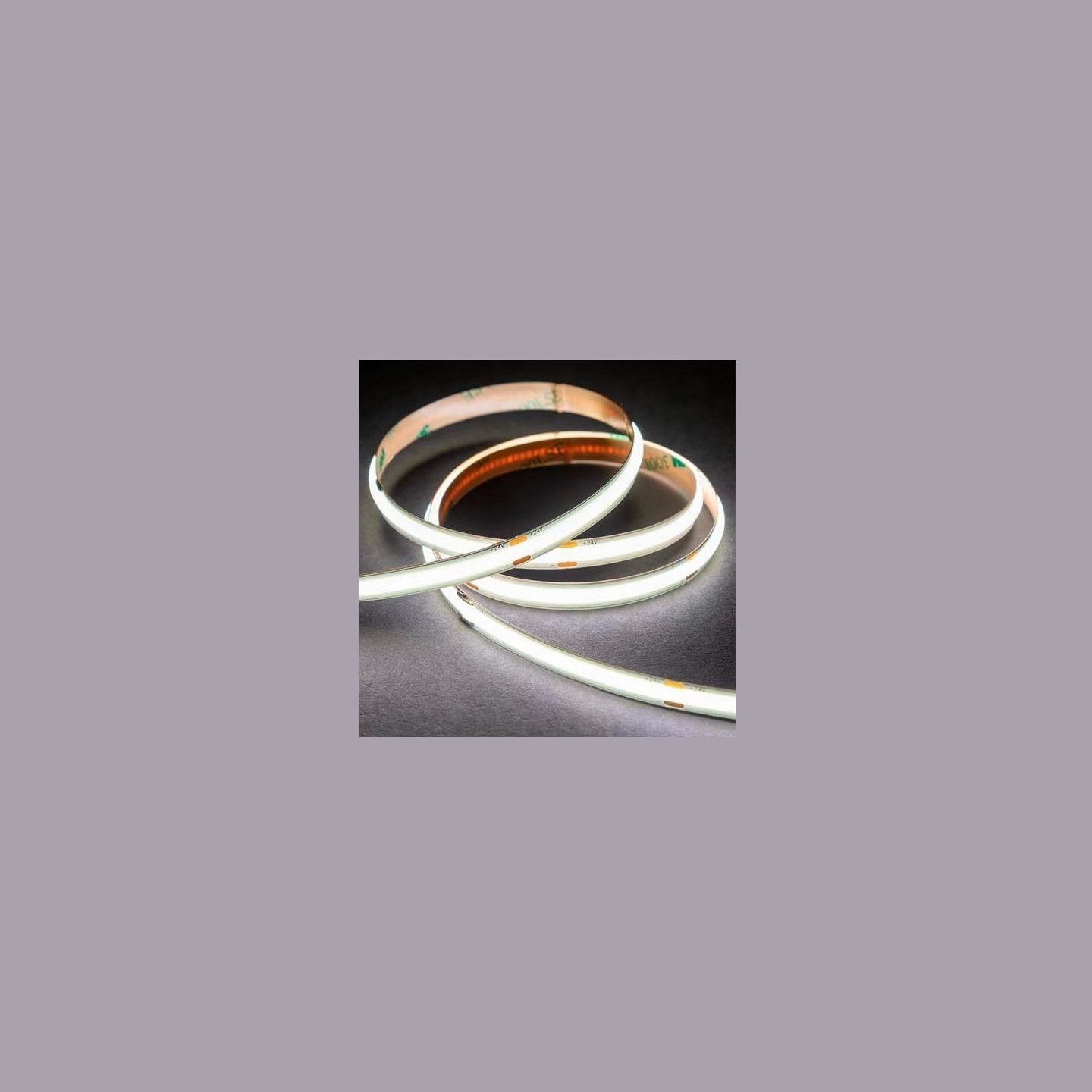 Ollo Lamp|OLLO|8 Watts|FCOB320NW-12V