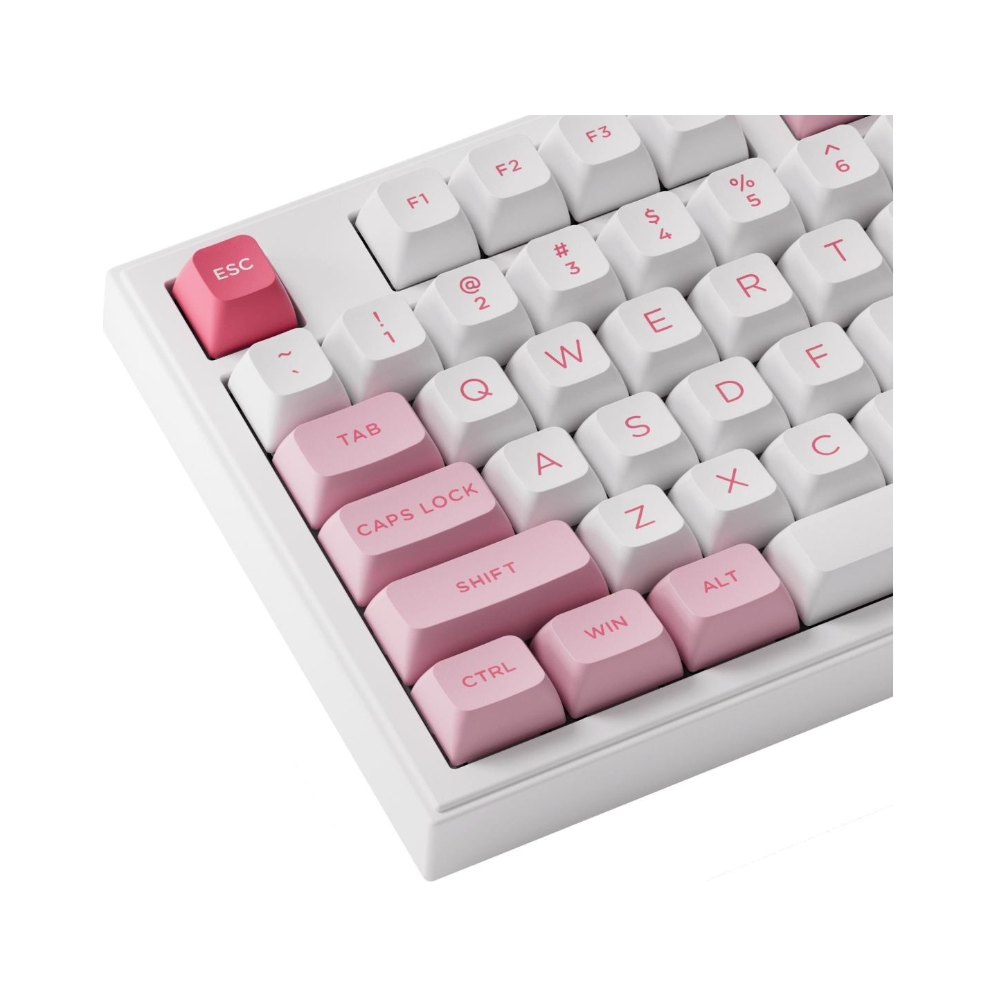 Akko KEYBOARD WRL 5098B PRUNUS/LANNESIANA 6925758630924 AKKO