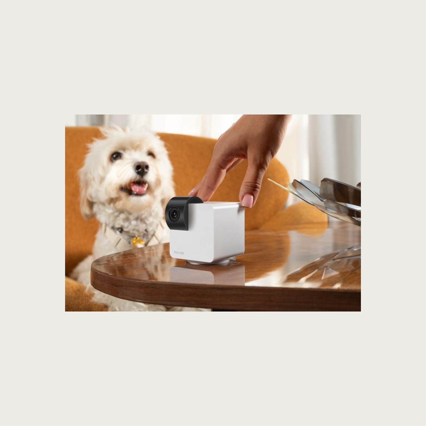 Petcube WRL CAMERA CAM 360/P36010US PETCUBE