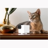 Petcube WRL CAMERA CAM 360/P36010US PETCUBE