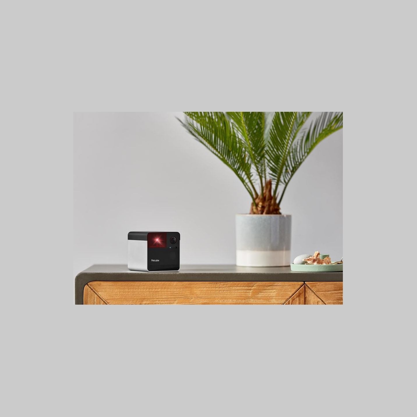 Petcube WRL CAMERA PLAY 2/PP20US PETCUBE