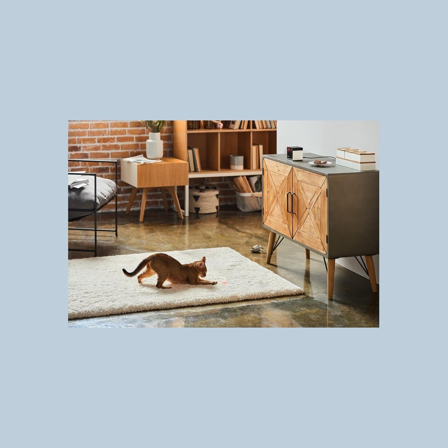 Petcube WRL CAMERA PLAY 2/PP20US PETCUBE