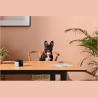 Petcube WRL CAMERA PLAY 2/PP20US PETCUBE