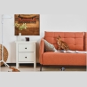 Petcube WRL CAMERA PLAY 2/PP20US PETCUBE